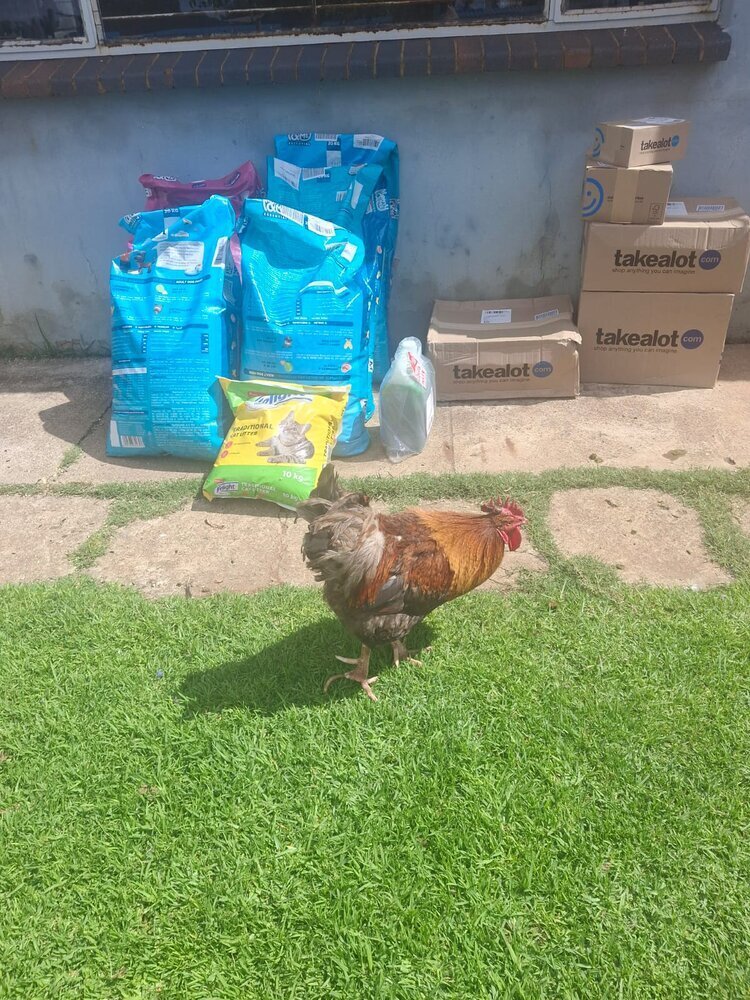 SPCA Randwest